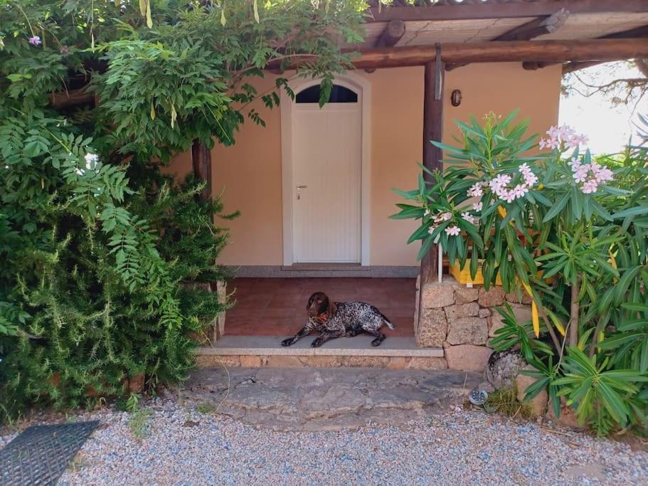 Suite Mirialveda San Pantaleo Exterior foto